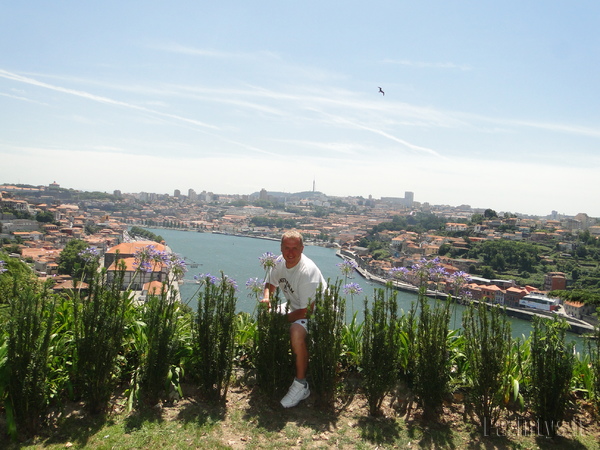 Porto panorama