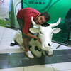 I Like Cow\'s :)