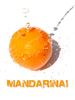 Peržiūrėti  Mandarinai, mandarinai, Vilnius